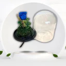 A Blue Rose That Lasts for A Whole Year